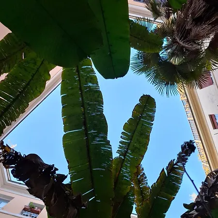 Casa Di Michele Lejlighed *